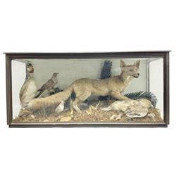 Taxidermy: 19th century cased display Red Fox (Vulpes vulpes) with pray, weasels (Mustela), Great Crested Grebe (Podiceps cristatus), and other birds in a naturalistic setting against a painted backboard, encased within an ebonised three pane display case, H56cm D38cm W113cm