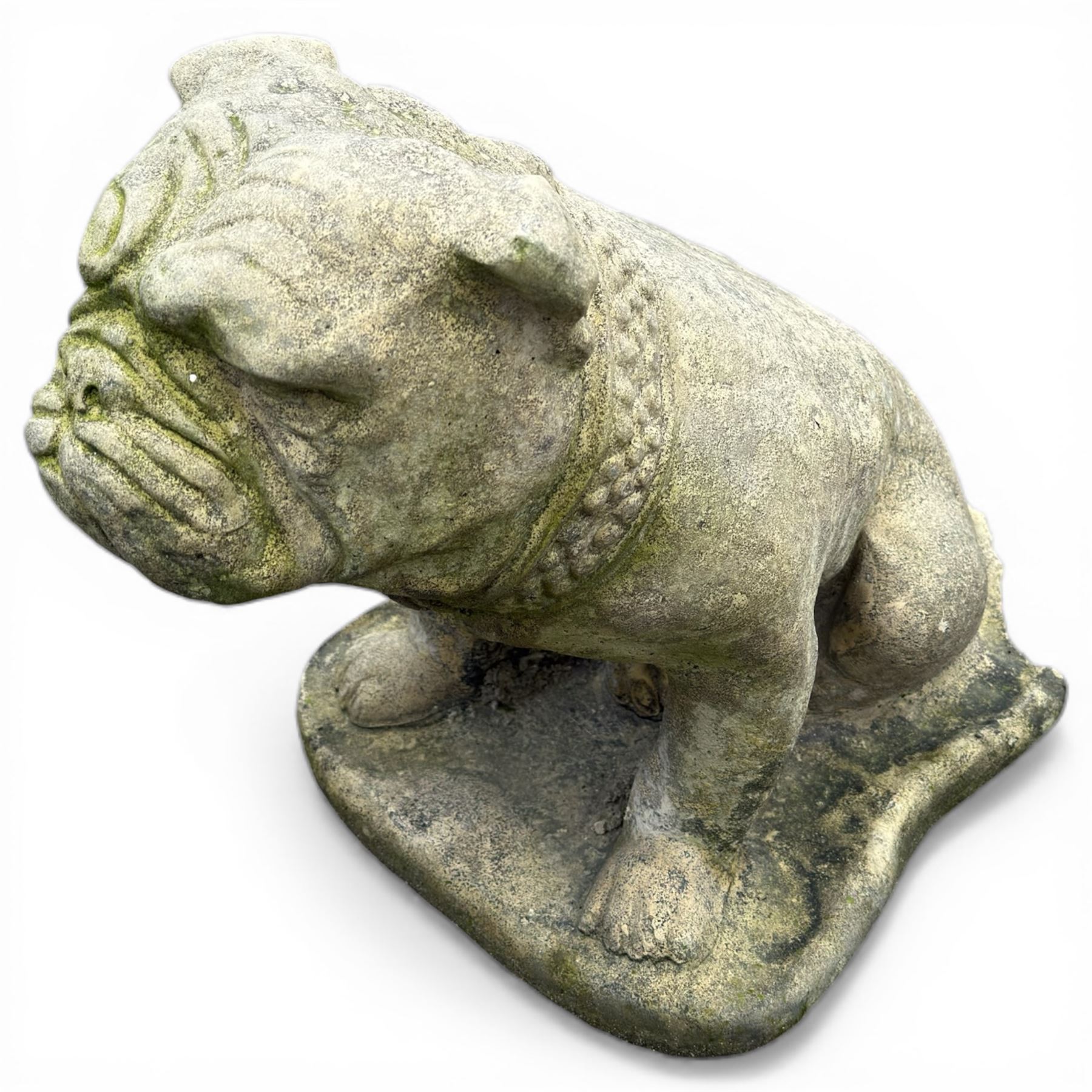 Pair of cast stone garden British bulldogs, on shaped plinths