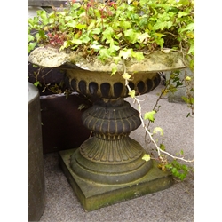  Garnkirk - 19th century fireclay garden tazza shaped urn, the rim moulded with trailing leafage, gadroon moulded body on waisted lobed pedestal, square section base, the base inscribed 'Garnkirk', planted with shrub, D63cm,  H55cm  