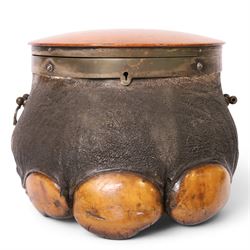 Taxidermy: 19th century elephant foot cigar case, the hinged wooden lid opening to reveal two lidded compartments