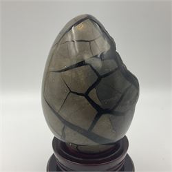 Dragon septarian specimen egg,  with black druzy crystals to the centre, upon a stepped wooden base, H18cm  