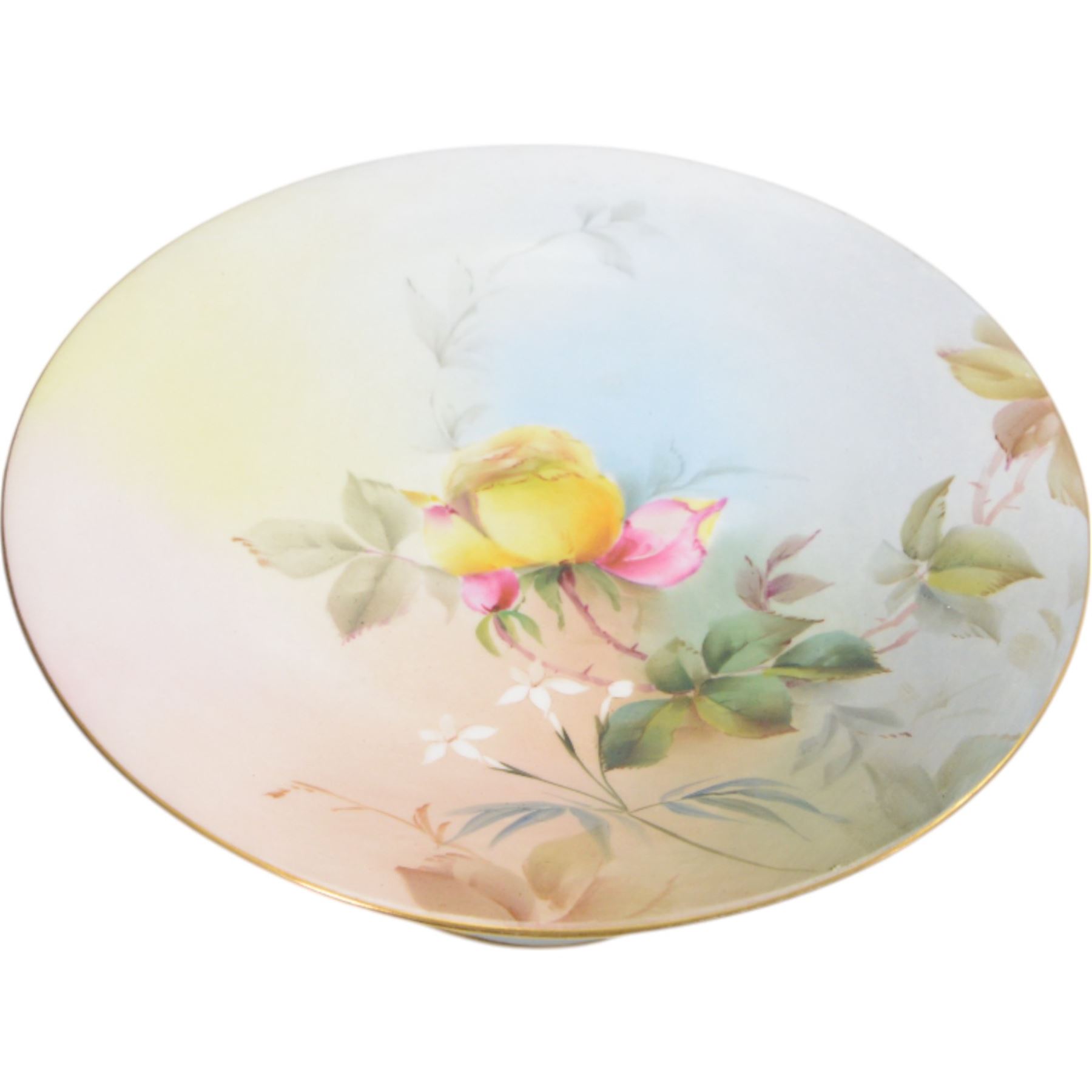 Royal Worcester dessert service with hand painted roses, comprising twelve plates and four comports and two tazza