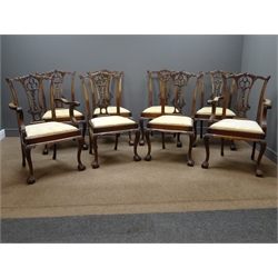  20th century Chippendale style set eight (6+2) dining chairs, acanthus carved cresting rail, pieced and carved splat, upholstered seat, cabriole legs with ball and claw feet  