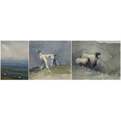 Brian Irving (British 1931-2013): Sheep in Pasture Landscape, set three watercolours framed as one unsigned max 12cm x 8cm