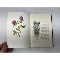 The Felix Annual 'the comic adventures of felix the film cat', The Japhet & Happy book , Hulm, Edward; Familiar Wild Flowers, with 40 coloured plates and other books