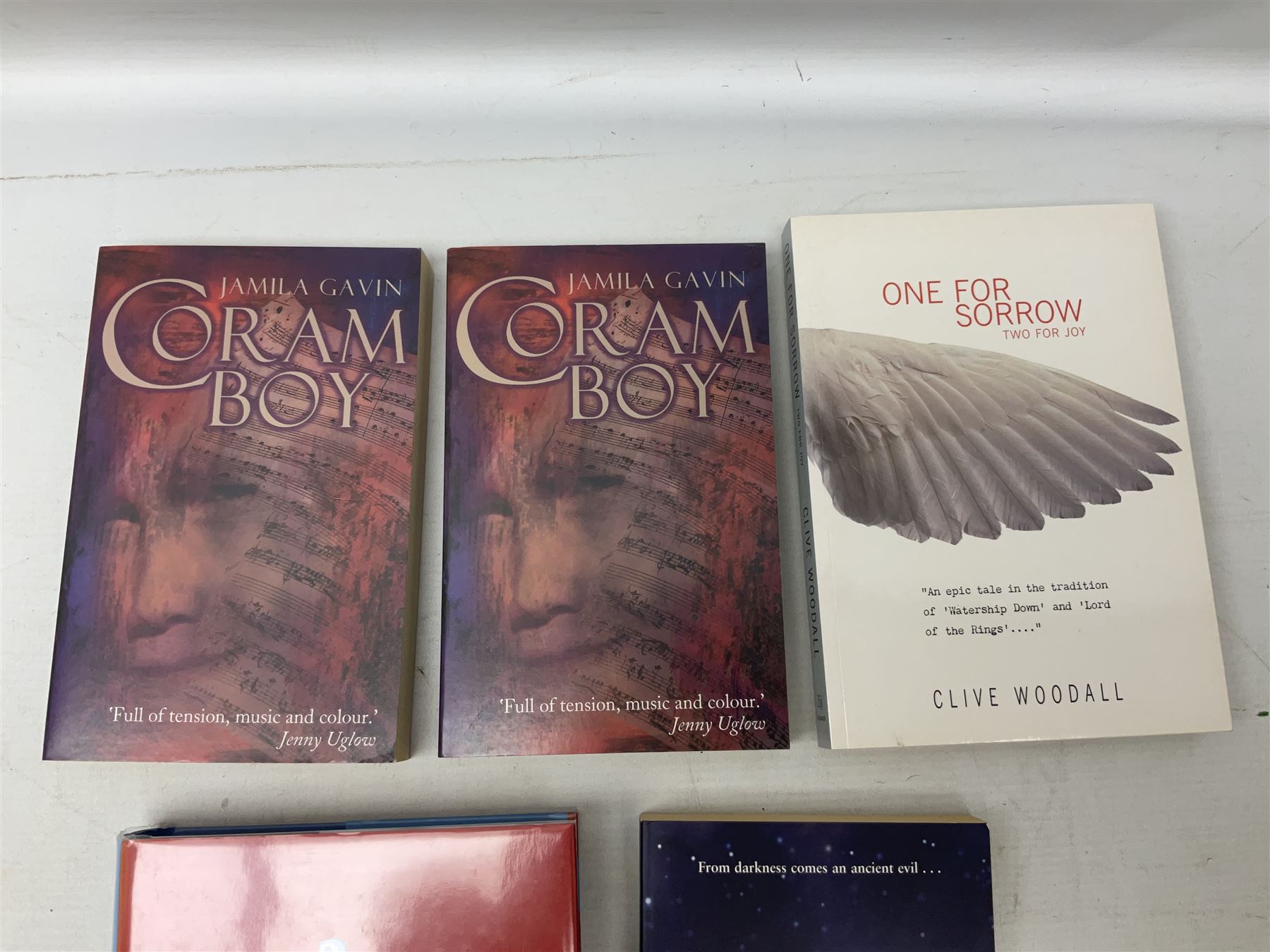 Collection of first edition books, to include John Boyne; The Boy in the Striped Pyjamas, limited edition 910/1000, singed by author, Jasper Fforde; The Eyre Affair, signed by author, Mark Haddon; The Curious Incident of the Dog in the Night-time , D.A.Stern; The Blair Witch Project: A Dossier, etc (16)