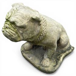 Pair of cast stone garden British bulldogs, on shaped plinths