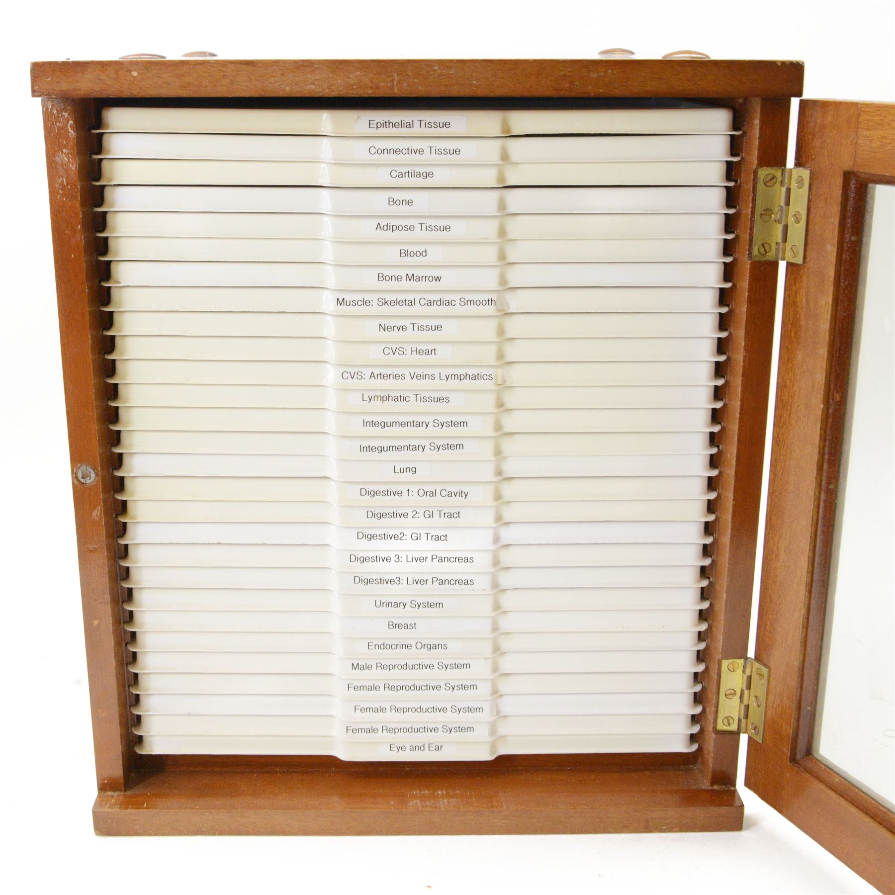 Large collection of prepared microscope slides, including animal and human pathological, physiological and histological specimens and botanical specimens, mostly annotated in ink, with examples including earthworm ovary, pneumonia lung, tip of a human tongue and rabbit cerebellum, contained within two mid 20th century wooden specimen cabinets with glazed doors, each containing twenty-eight plastic slide trays, cabinet H46cm