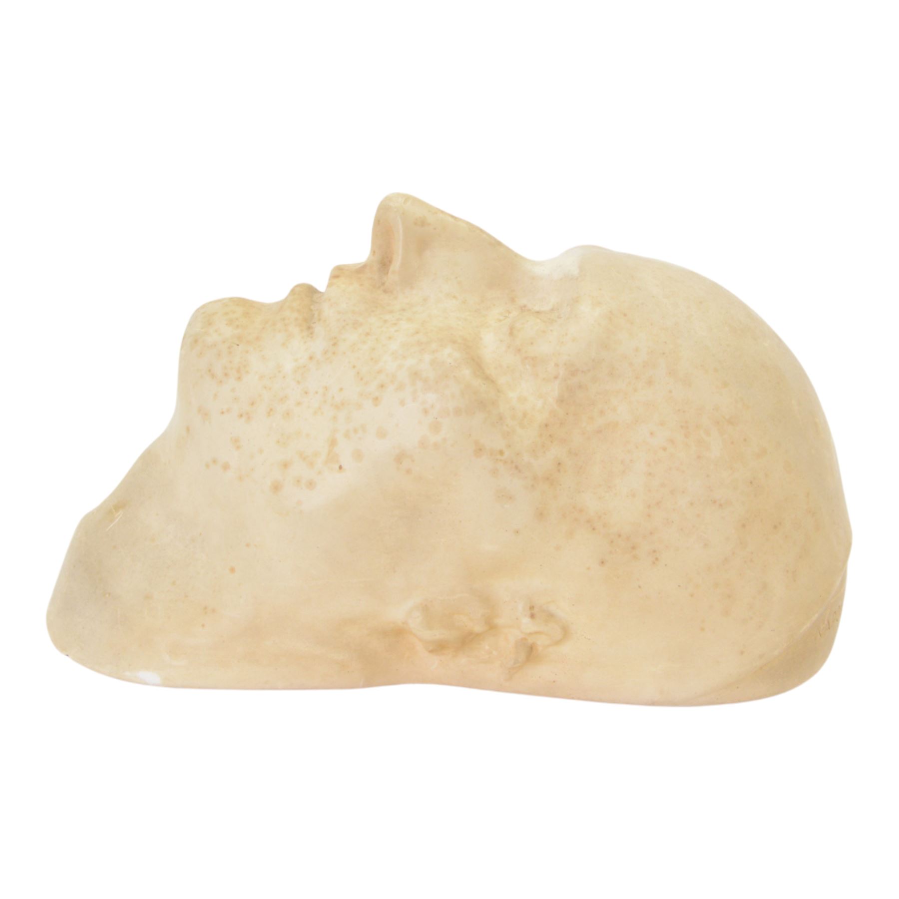 Gebruder Michell Berlin; 19th Century plaster Death Mask of Napoleon, signed to the top, H30cm 