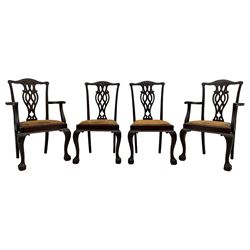 Set of eight (6+2) early 20th century Chippendale design mahogany dining chairs, shaped cresting rail over pierced interlocking splat with carved foliate and scrolling decoration, drop-in tan leather upholstered seats, over moulded gadrooned apron, raised on cabriole supports with acanthus carved knees and ball and claw carved terminals