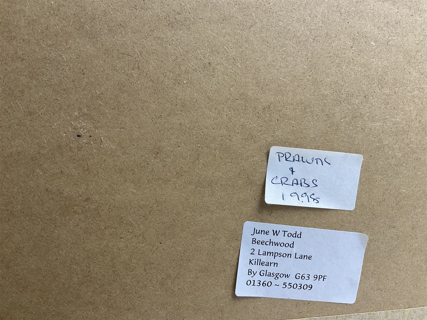 June Todd (Scottish Contemporary): 'Prawns and Crabs', watercolour signed, titled and dated 1998 verso 74cm x 56cm 