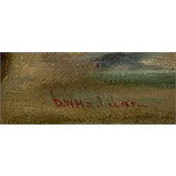 David W Haddon (British fl.1884-1914): The Old Fisherman, oil on canvas signed 34cm x 24cm