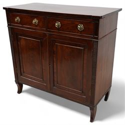 Regency mahogany cupboard, rectangular s