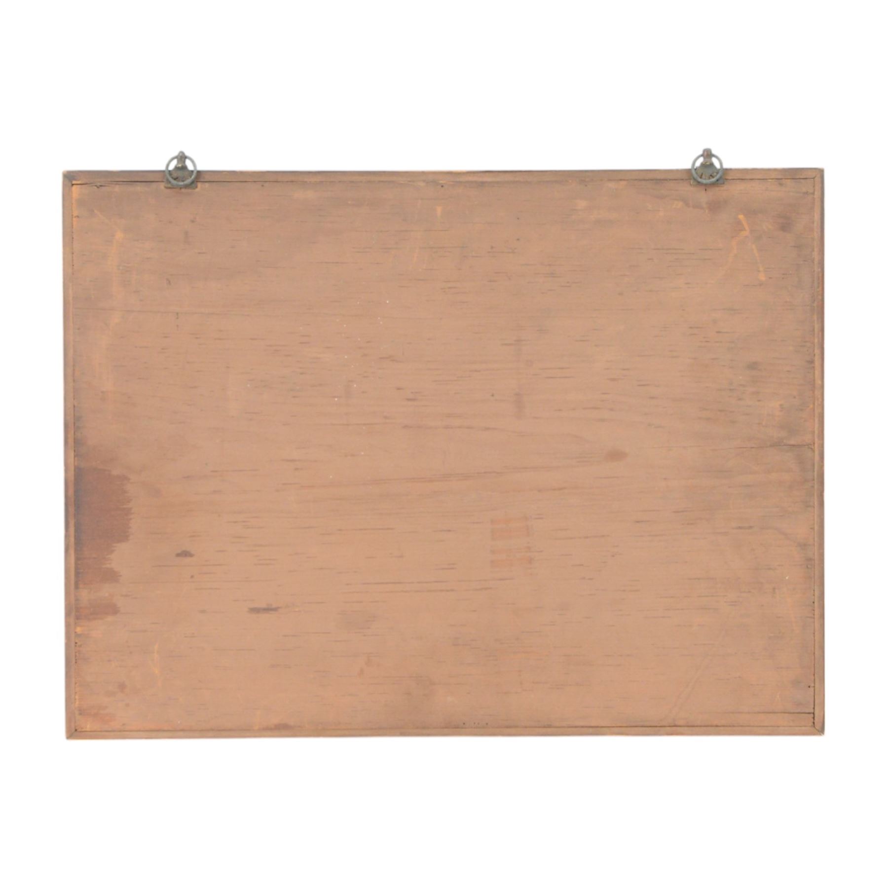 Entomology: Single glazed display of butterflies and moths, single glazed display containing approximately seventy five various specimens, including Zerynthia polyxena, Sideridis, Death Head Moth, all pinned, enclosed within a glazed entomology drawer, H31cm W41cm