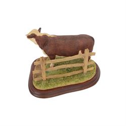 Three Border Fine Arts cow figure groups, comprising Belgian Blue Cow and Calf A1252, Hereford Bull A20848 and Simmental Bull L102