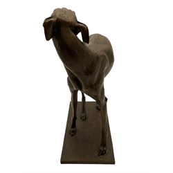 Sally Arnup FRBS, ARCA (1930-2015): Whippet Standing, bronze, signed and numbered VIII/X, upon short rectangular plinth, overall H63cm L49cm W23.5cm 


