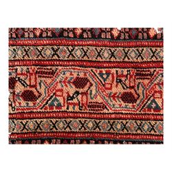 Persian Arak crimson ground rug, the field decorated with repeating Boteh motifs within geometric guard stripes