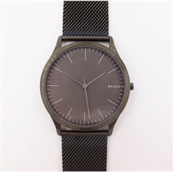  Skagen gentleman's stainless steel wristwatch  