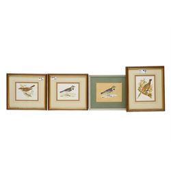 S C Buckton (British 20th century): Pheasant, Shore Lark & Thrush Nightingale, set of four...