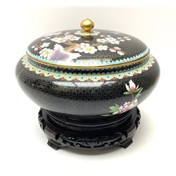 A Japanese cloisonne jar and cover, of squat form decorated with prunus blossom and birds in flight upon a black ground, with pierced wooden stand, jar D24cm.