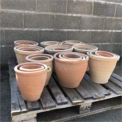 A quantity of approx. thirty two terracotta pots - various shapes and sizes