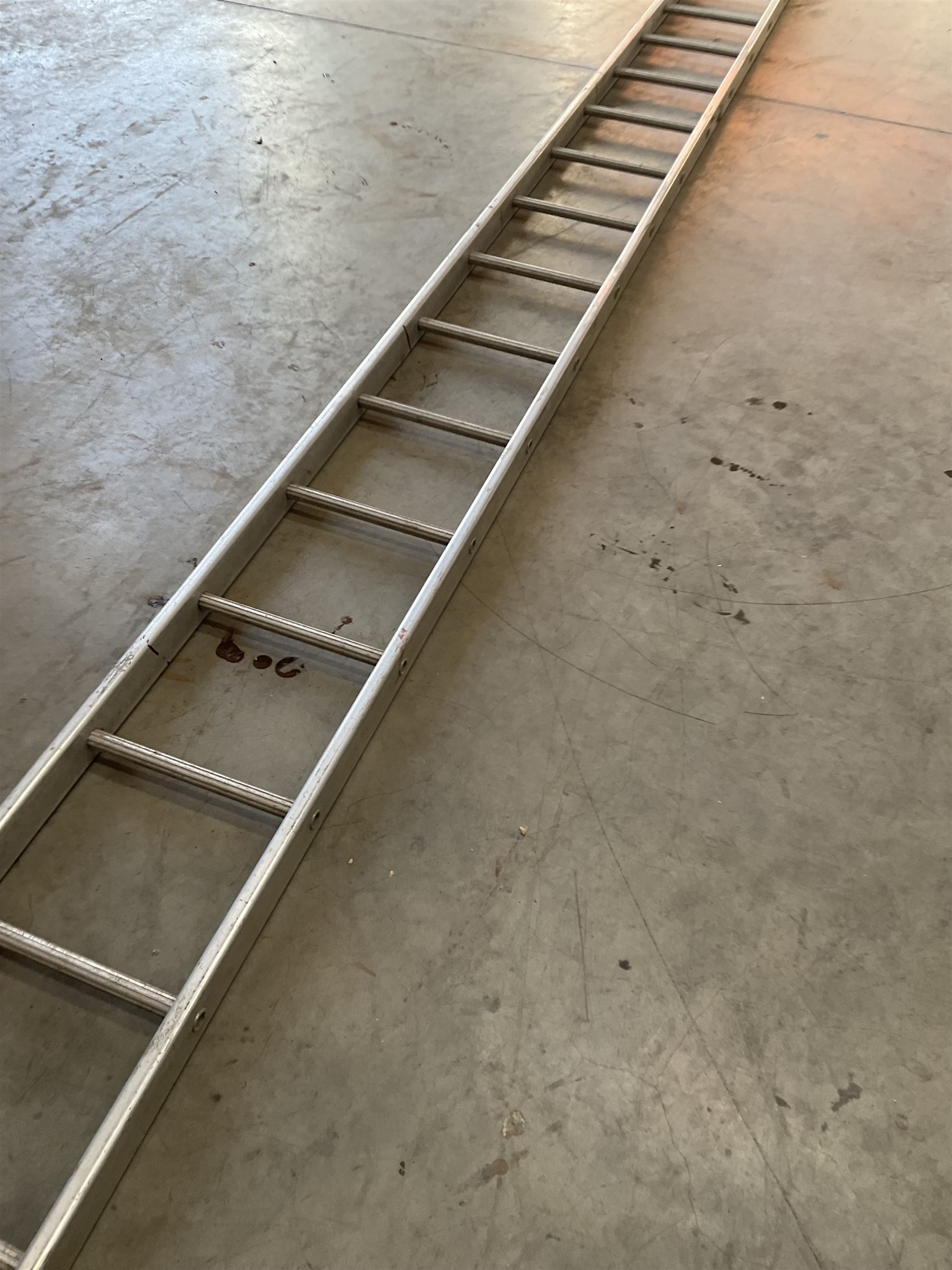 Ramsay 24 rung 2.4m single ladder