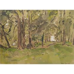 Fred Lawson (British 1888-1968): Sun Through the Trees, watercolour and ink heightened with white signed 26cm x 35cm
