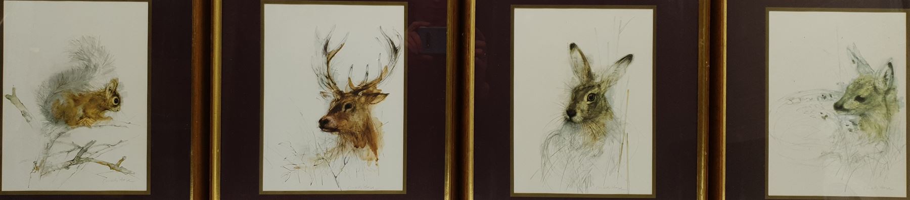 After Chad Stose (Contemporary): Animal Studies, set four colour prints 25cm x 18cm (4)