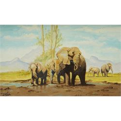 Dennis Vince (British 20th century): 'Elephants', oil on canvas signed, titled on artist's...