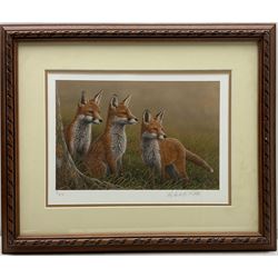 Robert E Fuller (British 1972-): Red Foxes in Long Grass, limited edition colour print signed and numbered 8/850 in pencil 20cm x 30cm