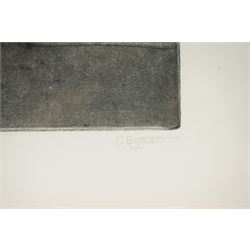 Colin Bygrave (British 1933-2020): 'House Among Pines' and 'Fitzwilliam Redwood', pair of monochrome etchings signed titled and numbered 5/150 and 3/90 in pencil, in matching frames max 41cm x 29cm (2)