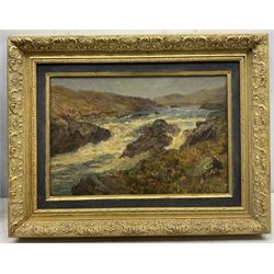 Haron ? (19th/20th century): River Rapids, oil on canvas laid on board indistinctly signed 23cm x 33cm