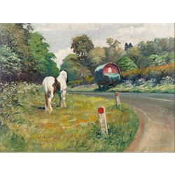 Malcolm Coward (British 1948-): Skewbald Horse, oil on canvas signed 44cm x 59.5cm