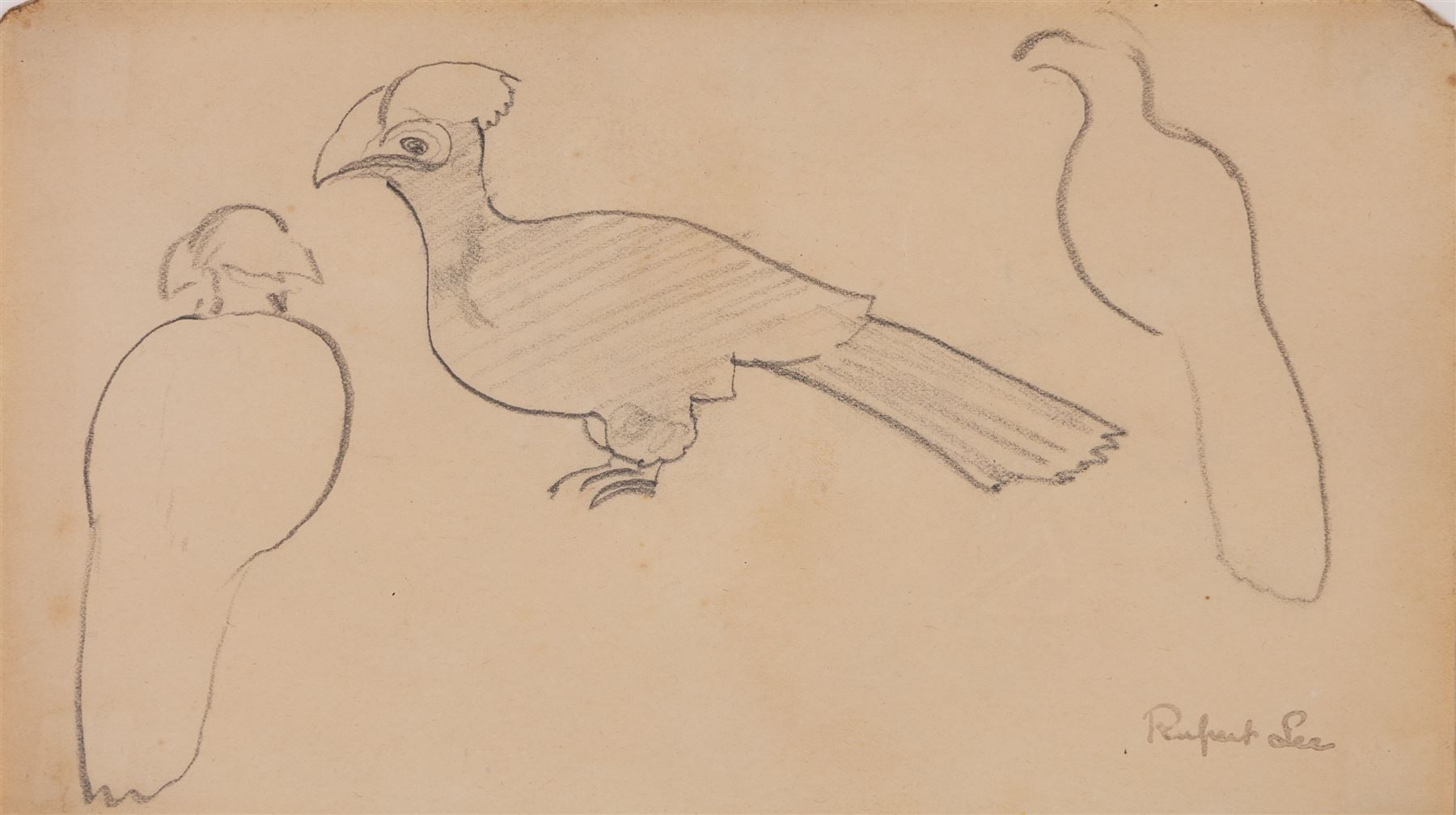 Attrib. Nina Hamnett (Welsh 1890-1956): Reclining Nude, ink on paper 17.5cm x 39cm; Rupert Lee (British 1887-1959): Bird Study, pencil on paper signed, unglazed. The Court Gallery label verso 12cm x 20cm (2)