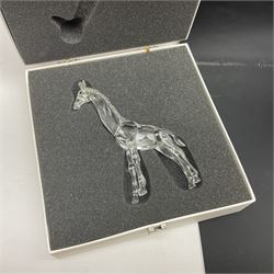 Five Swarovski Crystal figures, comprising giraffe, deer, hummingbird, rose and rearing horse, all with original boxes 