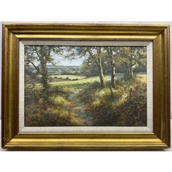 David Dipnall (British 1941-): 'Dappled Sunlight', oil on canvas signed, titled and dated 1995 verso 29cm x 34cm
Provenance: with E Stacy-Marks, Polegate, East Sussex, Stock No.D3546, label verso 
