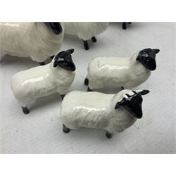 Seven Beswick figures of sheep comprising three ewes and four lambs, together with a figure of a sheepdog (8)