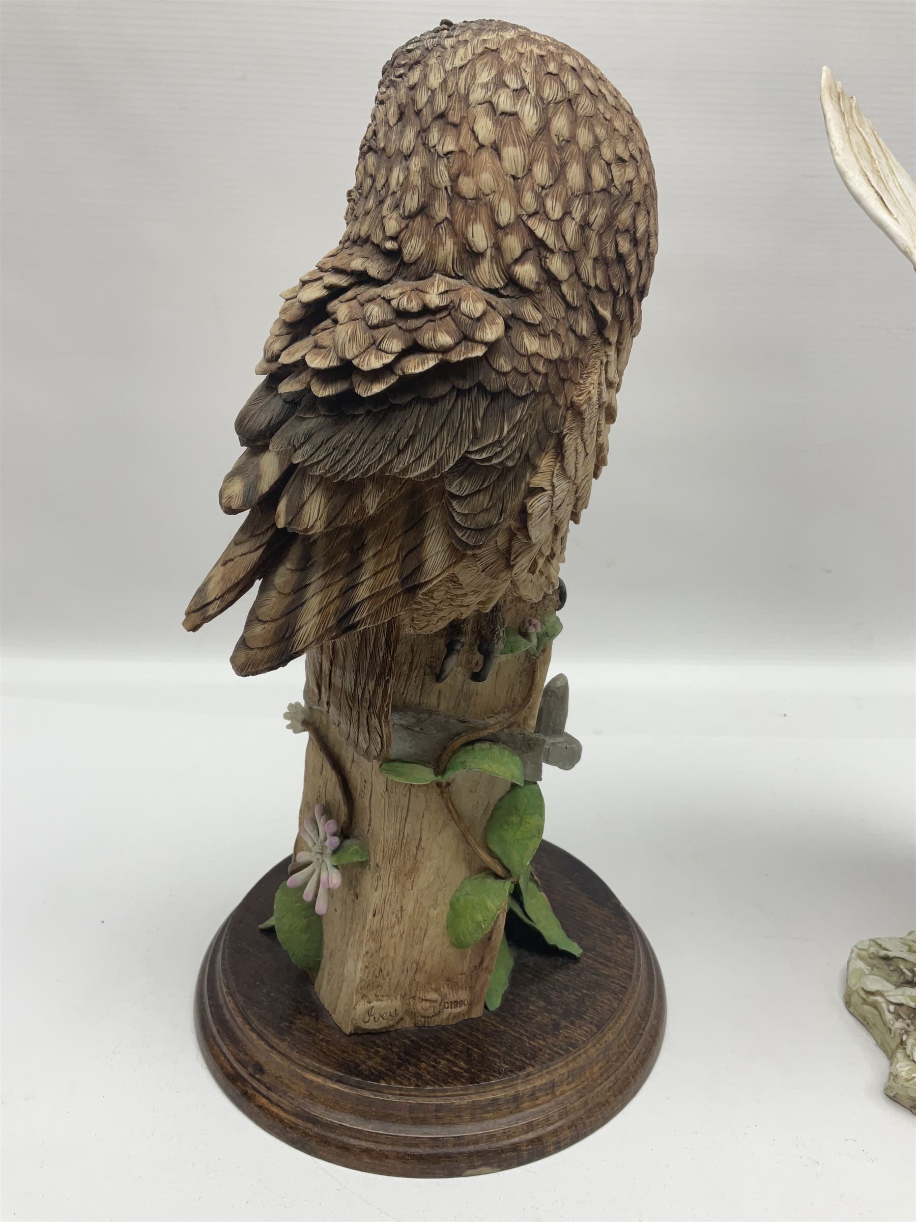 Border Fine Arts figure Barn Owl in Flight B1532, boxed with certificate, together with Country Artists figure Tawny Owl with Honeysuckle CA441, tallest H31.5cm