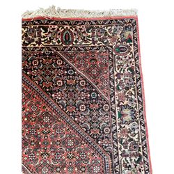 Persian Bidjar pale red ground rug, overlapping lozenge field decorated with Herati motifs, guarder border with trailing design decorated with stylised plant motifs