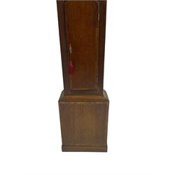 John Holt of Newark - 19th century 30-hour mahogany longcase clock c 1820, with a swans neck pediment and ball and spire finial, square hood door with detached pilasters, trunk with full length door on a rectangular plinth with applied skirting, painted dial with Arabic numerals, painted spandrels depicting fruit and a bird of paradise to the centre, with original matching steel hands, chain driven count wheel striking movement, striking the hours on a bell. With weight and pendulum.