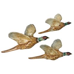 Set of three Beswick pheasant graduated wall plaques, comprising no 661/1, 661/2 and 661/3, largest L30cm