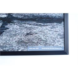 Three large prints on foamex board after Jan Rambousek and Peter Milerski