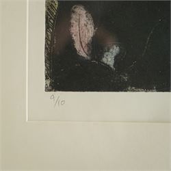 Adrienne Craddock (British Contemporary): 'A Fool Revealing Wisdom', etching in colours signed titled dated '90 and numbered 4/10 in pencil 74cm x 54cm
