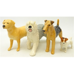  Three Beswick dogs 'Airedele Terrier', 'Cast iron Monarch', Labrador 'Solomon of Wendover'  Jack Russell Terrier and a Royal Doulton Old English Sheep dog (4)  