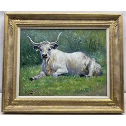 Malcolm Coward (British 1948-): Longhorn Cow at Rest, oil on canvas signed 34cm x 45cm