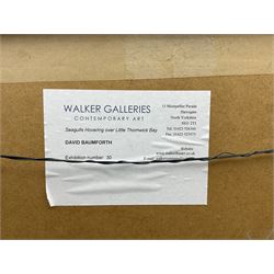 David Baumforth (British 1945-): 'Seagulls Hovering over Little Thornwick Bay Flamborough', mixed media on paper, signed titled and dated '96 on label verso 68cm x 113cm 
Provenance: with Walker Galleries, Harrogate, exhibition label verso