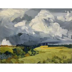 Rob Miller (British Contemporary): 'Lead Mine Clough - Anglezarke'; oil on board signed, titled verso 23cm x 29cm 