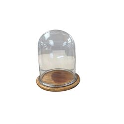 Glass dome on wooden base, H30cm