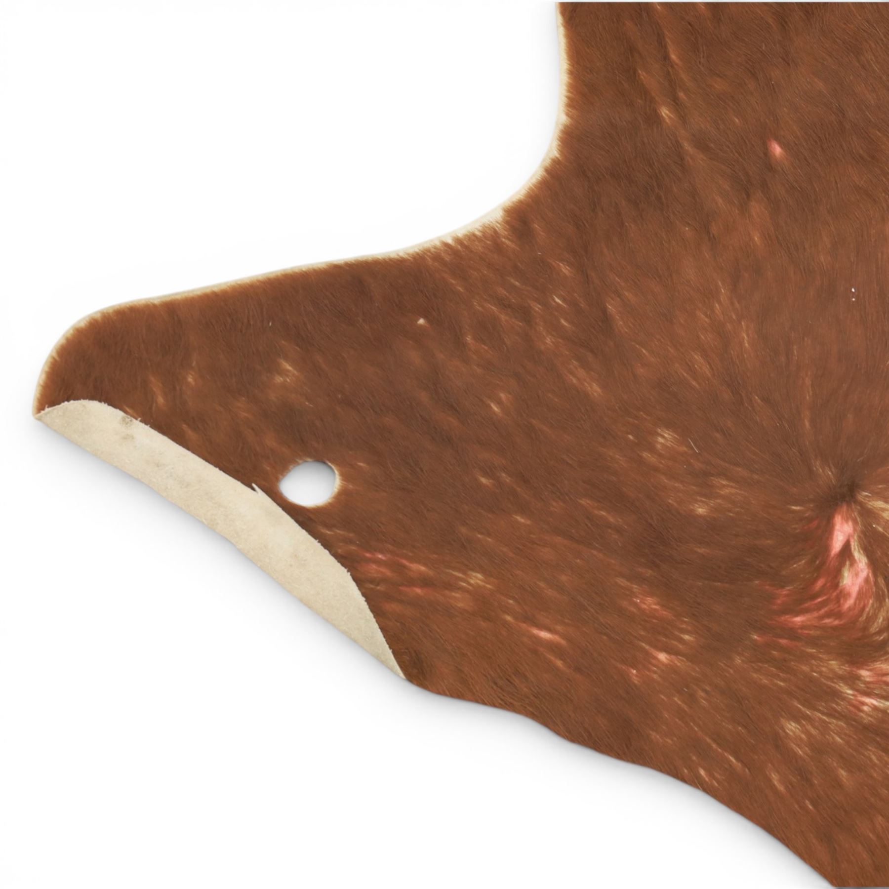 Cow hide rug or wall hanging, shaped with brown and white tones