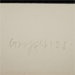 Robyn Denny (British 1930-2014): 'Graffiti 25', etching signed titled dated '77 and numbered AP III/IV in pencil 55cm x 41cm (unframed)